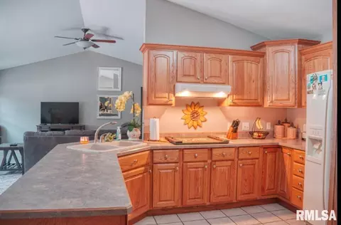 6382 Windmere Ln, Marion, IL 62959 photo 14