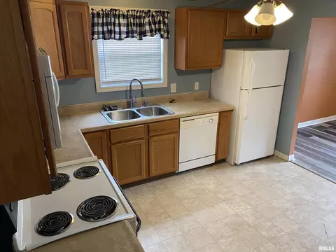 1319 Short St, Centralia, IL 62801 photo 13