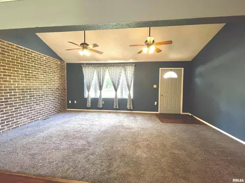 212 Elm St, Noble, IL 62868 photo 10