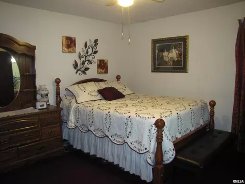 222 Lamar Dr, Salem, IL 62881 photo 22