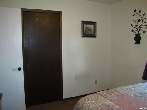 222 Lamar Dr, Salem, IL 62881 photo 25