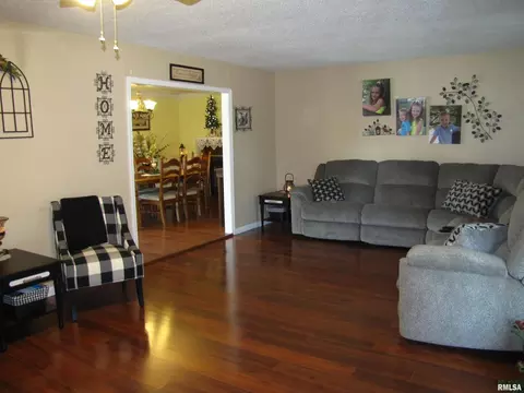 222 Lamar Dr, Salem, IL 62881 photo 8