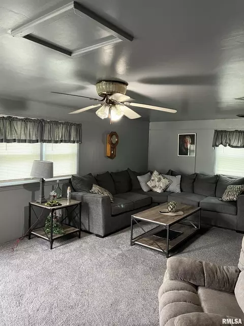 527 Tar Springs Dr, Carmi, IL 62821 photo 7