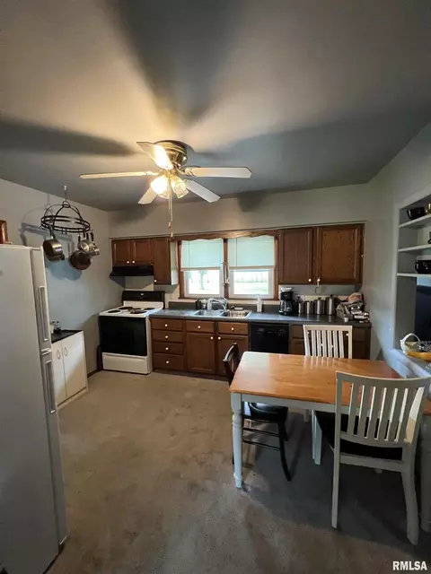 527 Tar Springs Dr, Carmi, IL 62821 photo 3