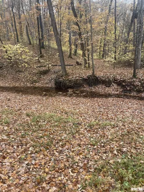 701 Deerpath Rd, Iuka, IL 62849 photo 39