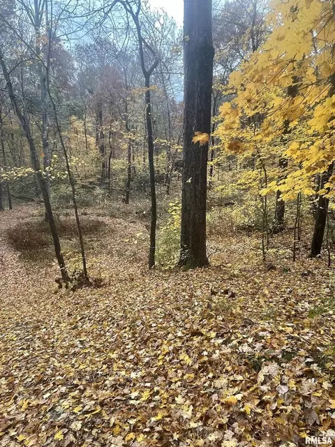 701 Deerpath Rd, Iuka, IL 62849 photo 38