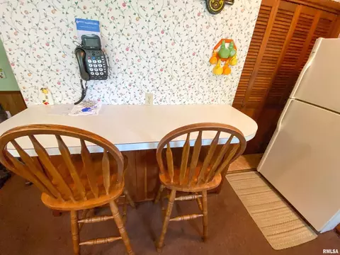 151 Willow St, Flora, IL 62839 photo 25