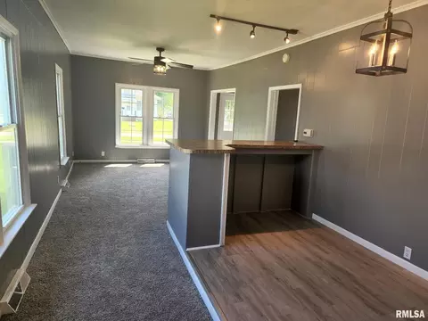 711 S Thomas St, Christopher, IL 62822 photo 8
