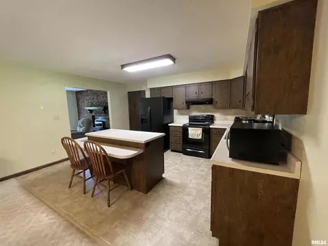 2310 Spring Ln, Marion, IL 62959 photo 10