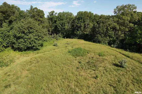 9912 Homestead Rd, Dix, IL 62830 photo 7