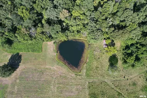 9912 Homestead Rd, Dix, IL 62830 photo 12