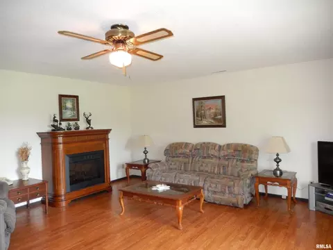 15361 Ullin Rd, Ullin, IL 62992 photo 15
