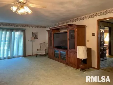 612 W Ray St, Christopher, IL 62822 photo 10