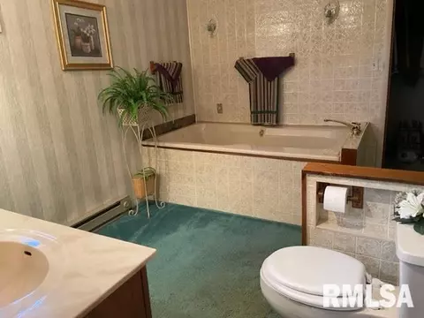 612 W Ray St, Christopher, IL 62822 photo 18