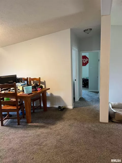 311 W 1st St, Ewing, IL 62836 photo 5
