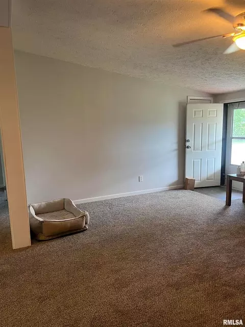 311 W 1st St, Ewing, IL 62836 photo 6