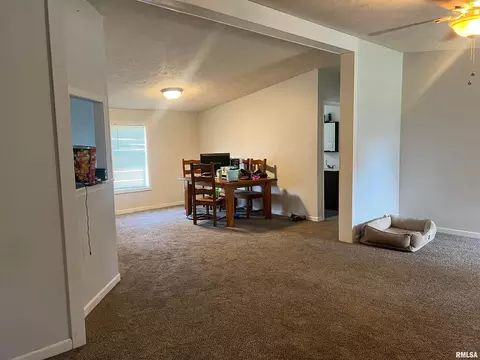 311 W 1st St, Ewing, IL 62836 photo 4