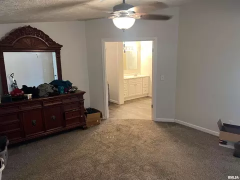 311 W 1st St, Ewing, IL 62836 photo 18