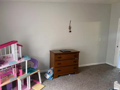311 W 1st St, Ewing, IL 62836 photo 11
