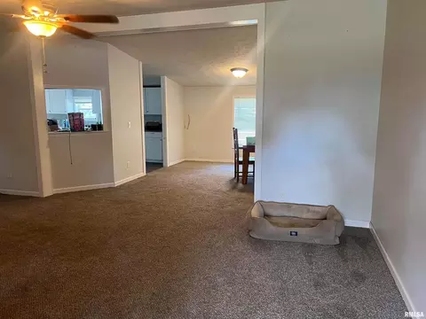 311 W 1st St, Ewing, IL 62836 photo 3