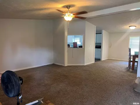 311 W 1st St, Ewing, IL 62836 photo 2