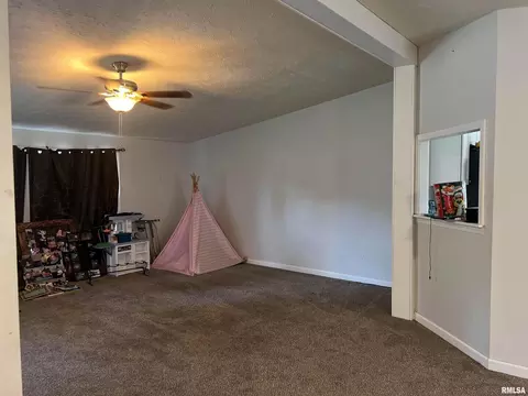 311 W 1st St, Ewing, IL 62836 photo 24