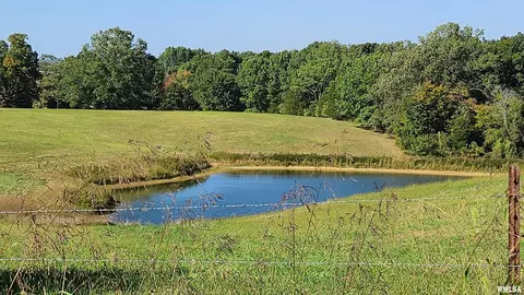 98 Bynum Rd, Ozark, IL 62972 photo 3