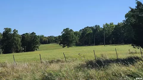 98 Bynum Rd, Ozark, IL 62972 photo 47