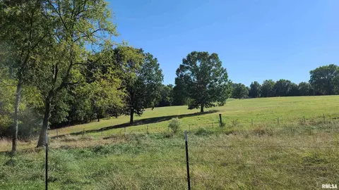 98 Bynum Rd, Ozark, IL 62972 photo 15