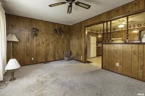 11748 Pease Rd, Marion, IL 62959 photo 7