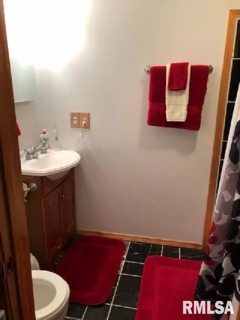 312 Chestnut St, Anna, IL 62906 photo 8