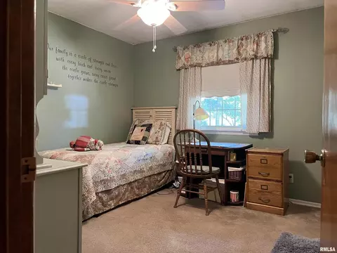 5 Foxtail Ln, Murphysboro, IL 62966 photo 20