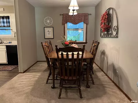 5 Foxtail Ln, Murphysboro, IL 62966 photo 10
