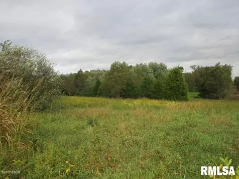 90 Pine Tree Ln, Cobden, IL 62920 photo 11
