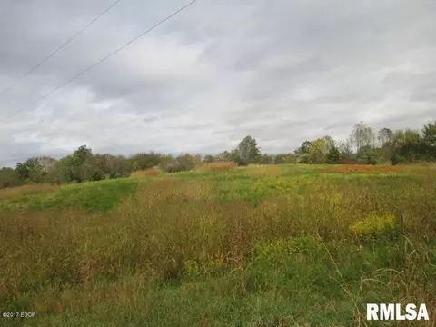 90 Pine Tree Ln, Cobden, IL 62920 photo 1