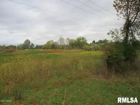 90 Pine Tree Ln, Cobden, IL 62920 photo 2
