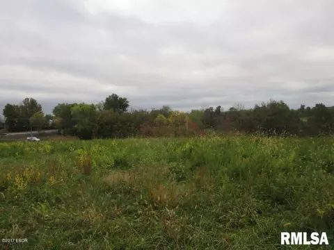 90 Pine Tree Ln, Cobden, IL 62920 photo 5