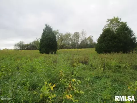 90 Pine Tree Ln, Cobden, IL 62920 photo 9