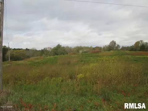 90 Pine Tree Ln, Cobden, IL 62920 photo 10