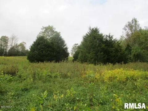 90 Pine Tree Ln, Cobden, IL 62920 photo 8