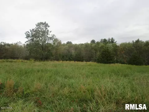 90 Pine Tree Ln, Cobden, IL 62920 photo 7