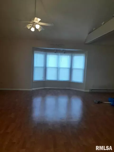 110 E Gelston St, Valier, IL 62891 photo 2
