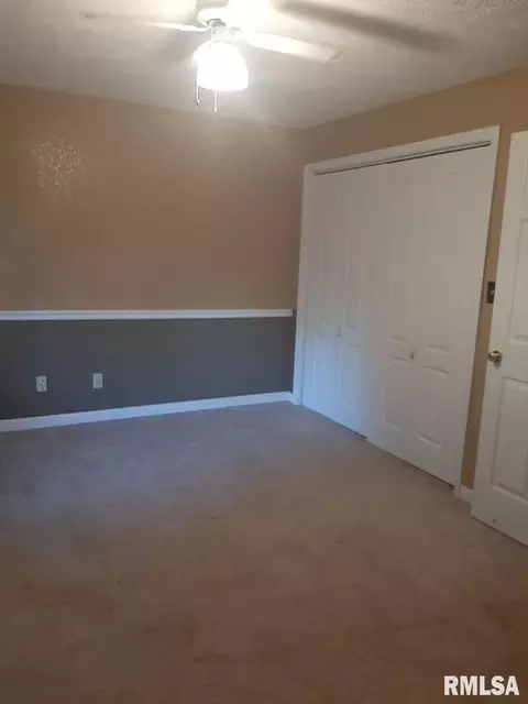 110 E Gelston St, Valier, IL 62891 photo 10