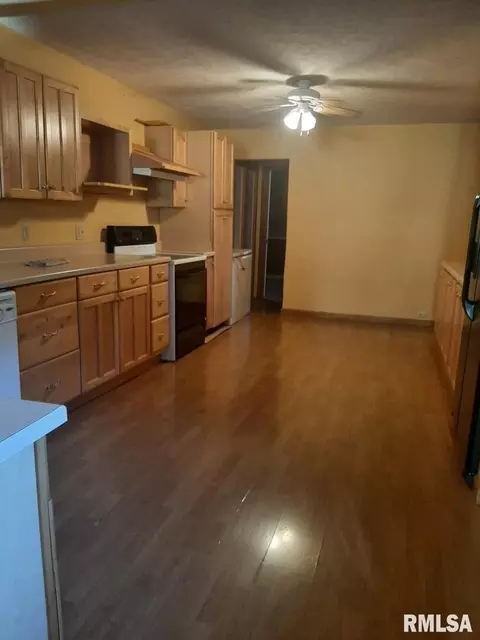 110 E Gelston St, Valier, IL 62891 photo 6