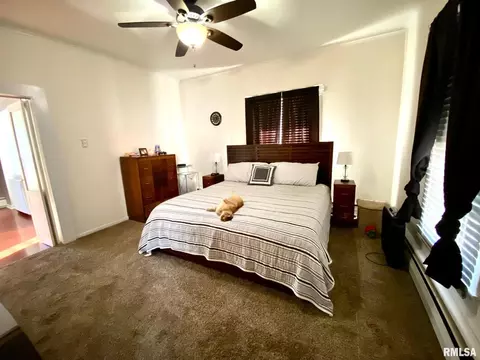 506 S Thomas St, Christopher, IL 62822 photo 18
