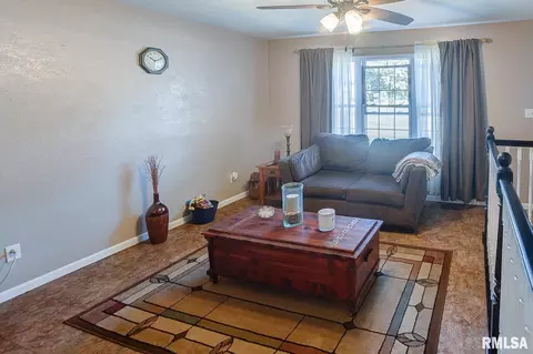 800 Washington St, Saint Libory, IL 62282 photo 8