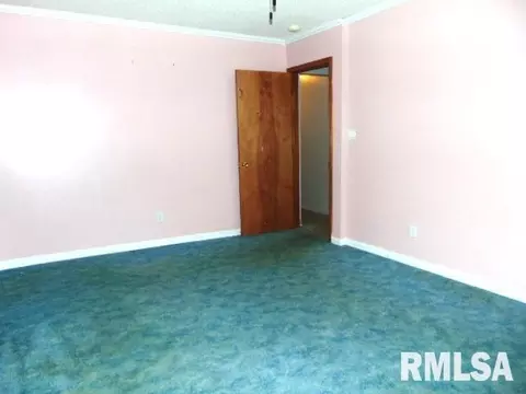 205 Pine Ln, Murphysboro, IL 62966 photo 13