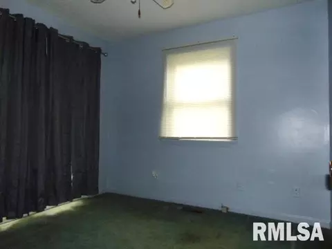 205 Pine Ln, Murphysboro, IL 62966 photo 12