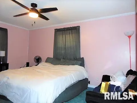 205 Pine Ln, Murphysboro, IL 62966 photo 10