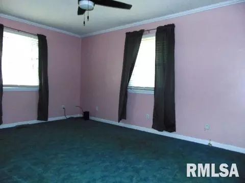 205 Pine Ln, Murphysboro, IL 62966 photo 11
